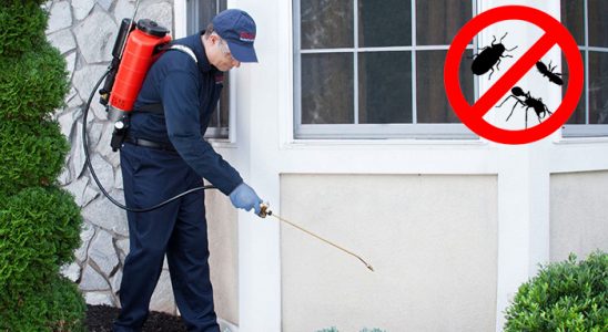 Kadışehri Karınca İlaçlama böcek ilaçlama ve haşere kontrolü — ilaclama-tr.com